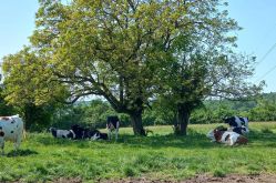 Ferme de l'Aquarelle