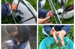 Ferme de l'Aquarelle