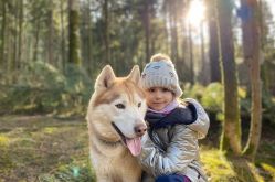 Energie-canine