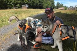 Energie-canine