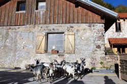 office de tourisme de Bussang