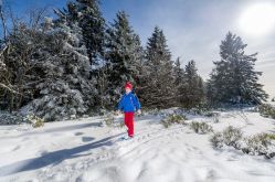 Massif de Vosges - Thomas DEVARD