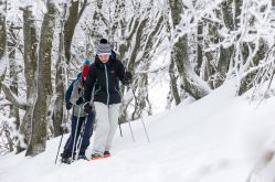 Massif de Vosges -Thomas DEVARD