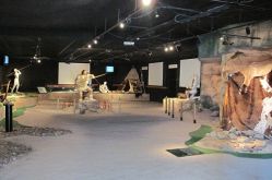 Musée de la Préhistoire