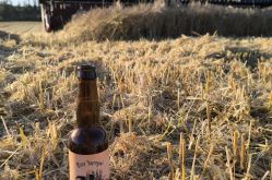 Bier'tapogne