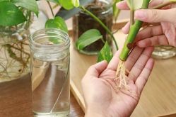 ©City of Landscapes