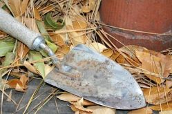 ©City of Landscapes