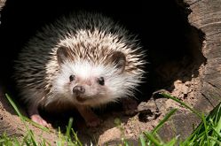 ©City of Landscapes