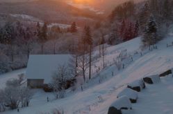 Ferme des Plateaux