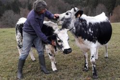 FERME BABEL