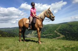 CRINS DES VOSGES