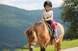 CRINS DES VOSGES
