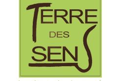 TE.com