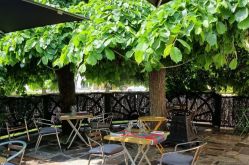 LES LILAS