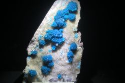 Terrae Genesis