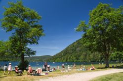 Office de Tourisme Communautaire Gérardmer Hautes Vosges