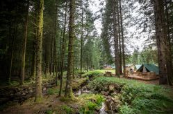 VILLAGE HUTTOPIA FORÊT DES VOSGES