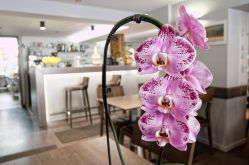 Auberge Lorraine