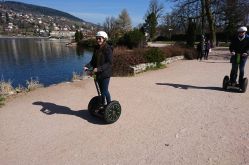 Gyrovosges