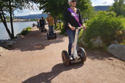 Gyrovosges