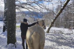 HORSE SPIRIT GRANGES AUMONTZEY