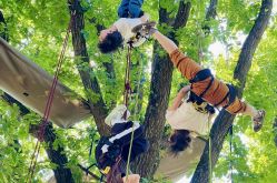 Esprit Libre - Grimpe d'arbre 5