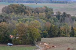 Xertigny en Transition