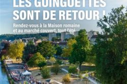 Viile d'Epinal