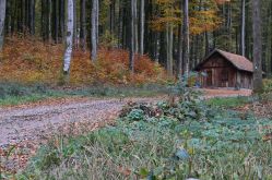 Xertigny en transition