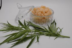Latifunda Aromatica