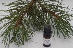 Latifunda Aromatica