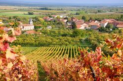 Domaine de Montgrignon