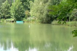 Etang
