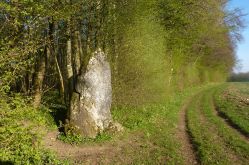La grolle sammielloise