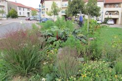  Mairie de Courcelles-sur-Nied 
