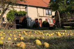 La Maison Güth