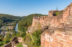 OT Pays de Phalsbourg - Patrice Bucher