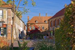 Patrice BUCHER – OT du Pays de Phalsbourg