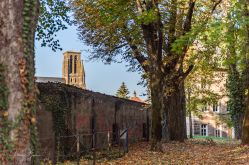 Patrice BUCHER – OT du Pays de Phalsbourg
