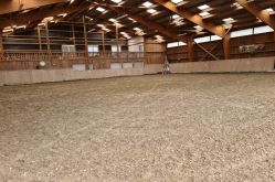 Ferme équestre des balzanes