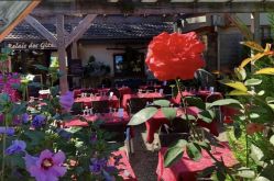 Terrasse ombragé