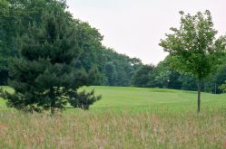 GOLF SARREBOURG