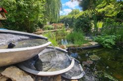 Le Souffle du Saule