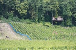 Domaine des Béliers