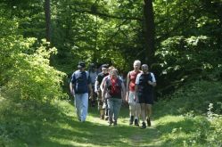 Communauté d'Agglomération de Forbach Porte de France