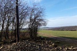 OT Saint-Avold Coeur de Moselle