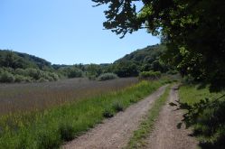 OT Saint-Avold Coeur de Moselle