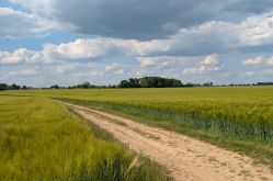 Communauté de Communes du Haut Chemin Pays de Pange
