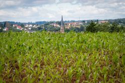CTurpin - Sarreguemines Tourisme
