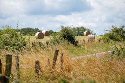 CTurpin - Sarreguemines Tourisme